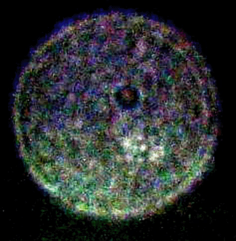 orb 01